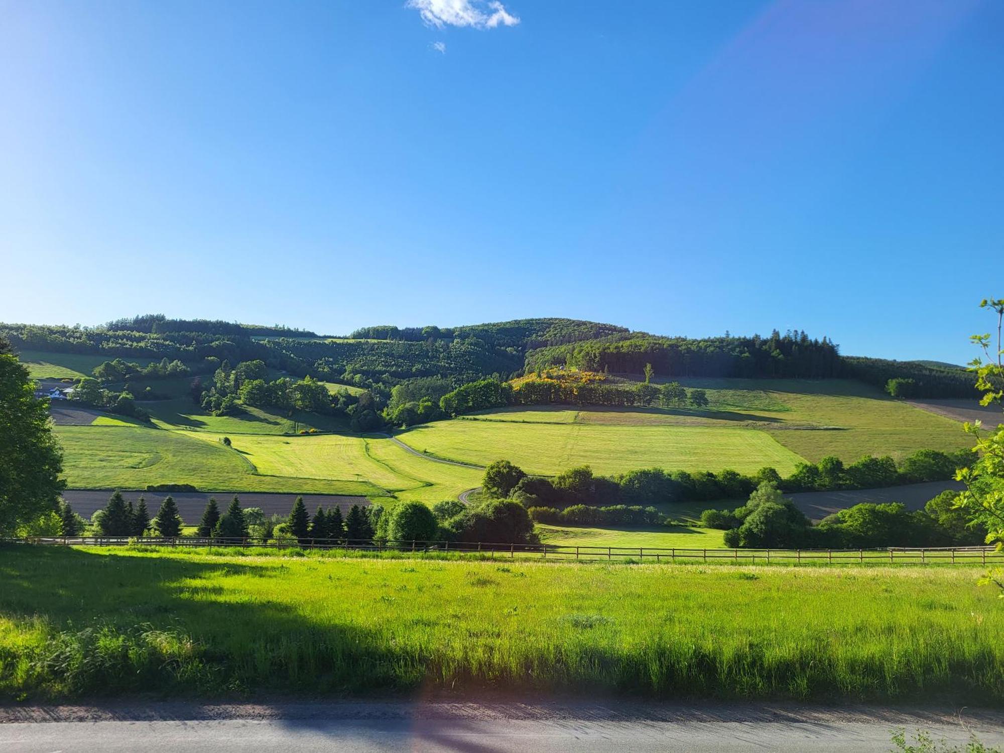 Lausebuche Im Sauerland Apartment Lennestadt Bagian luar foto